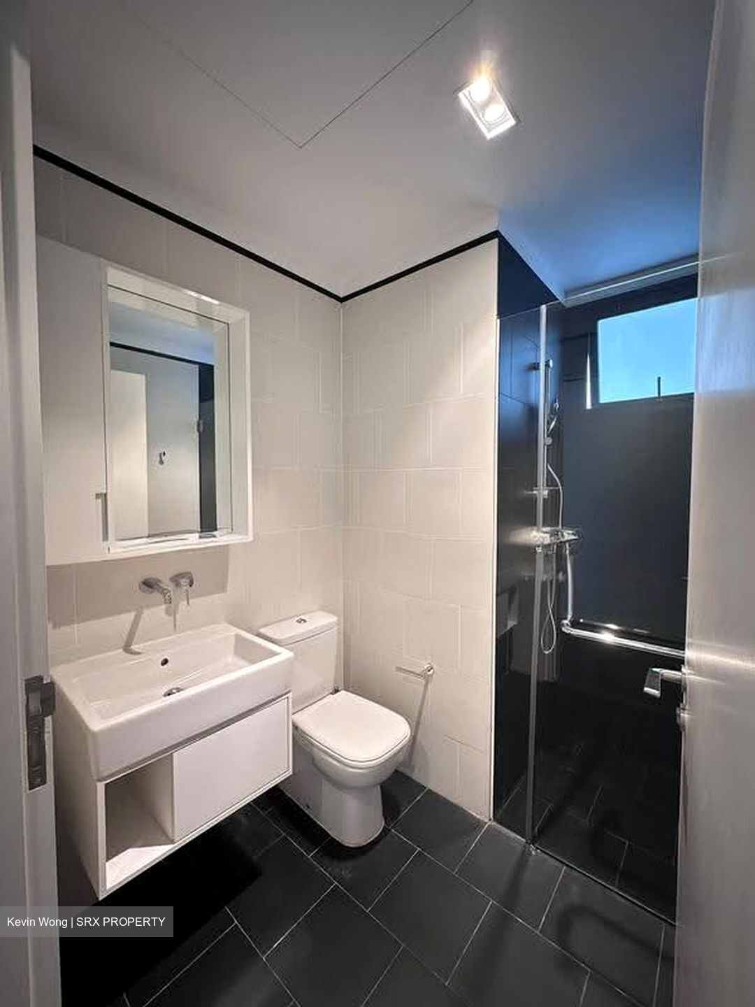 Village @ Pasir Panjang (D5), Condominium #622248261